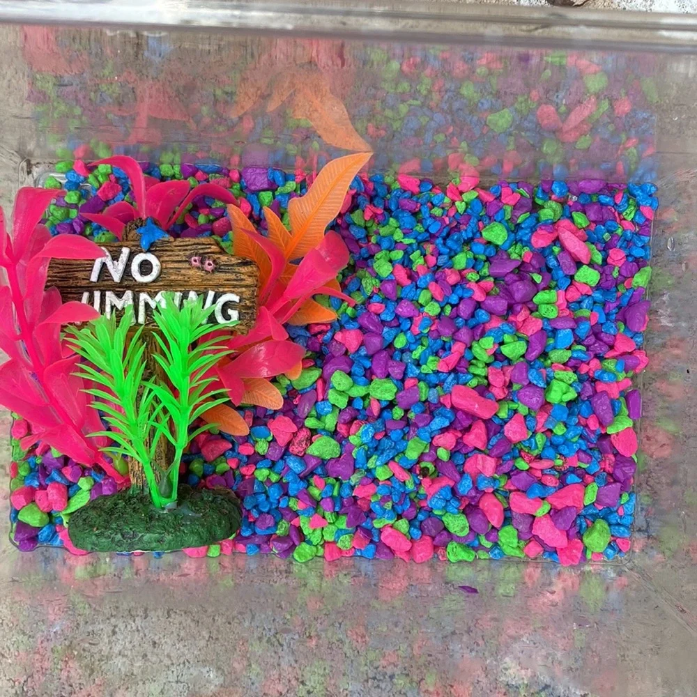 Fish tank with cooler rocks and a sign